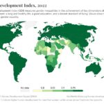 Gender Development Index