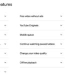 YouTube Music offers a wide variety of features, including ad-free access to all YouTube videos, offline downloads, and background playback, making it a comprehensive entertainment platform.