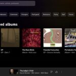 YouTube Music Interface
