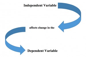 Canada and the United States share similarities, but voter turnout differs, which is a key aspect of the Most Similar Systems Design