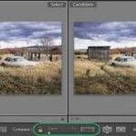 Lightroom compare view