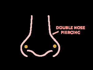 Diagram of a nose with two nose studs