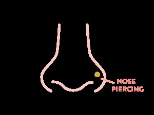 Diagram of a nose with a nose stud