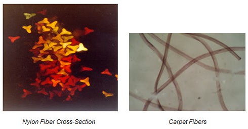 Fibers