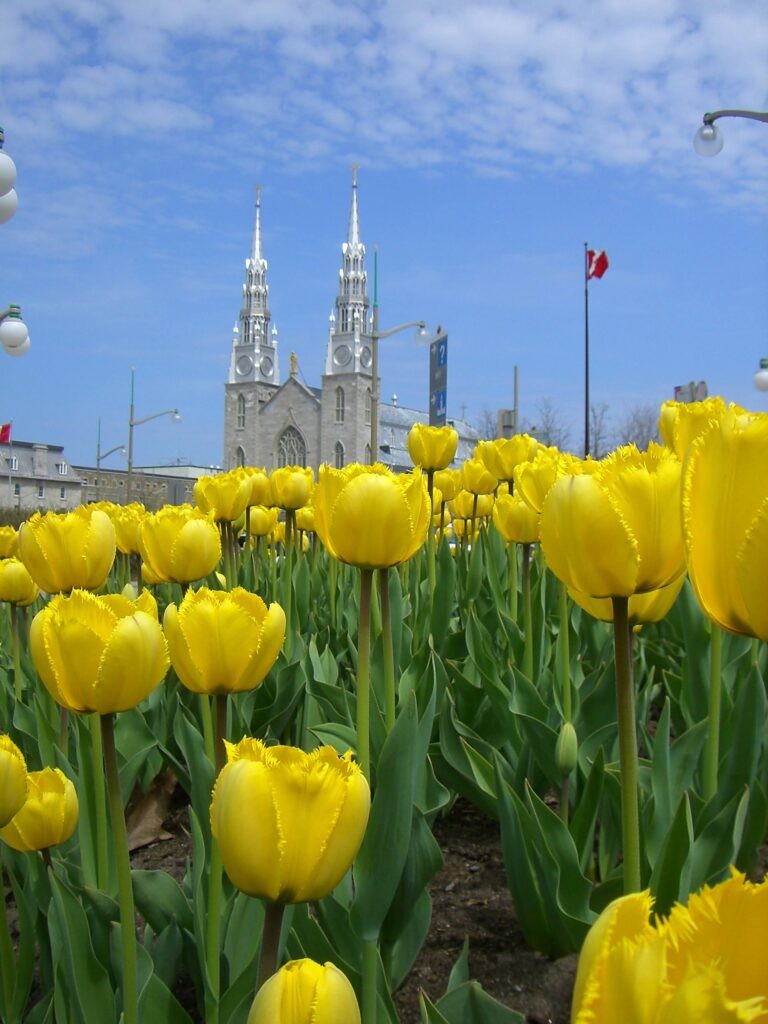Parliament Hill Ottawa
