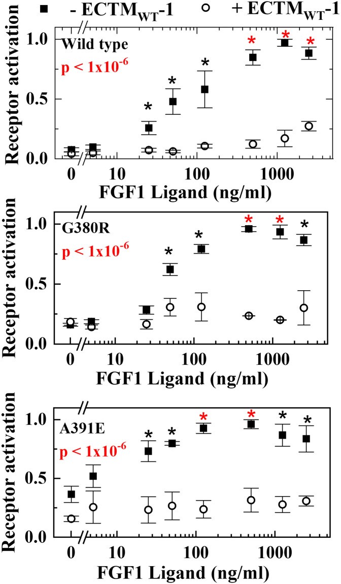 FGFR3 Kinase Comparison