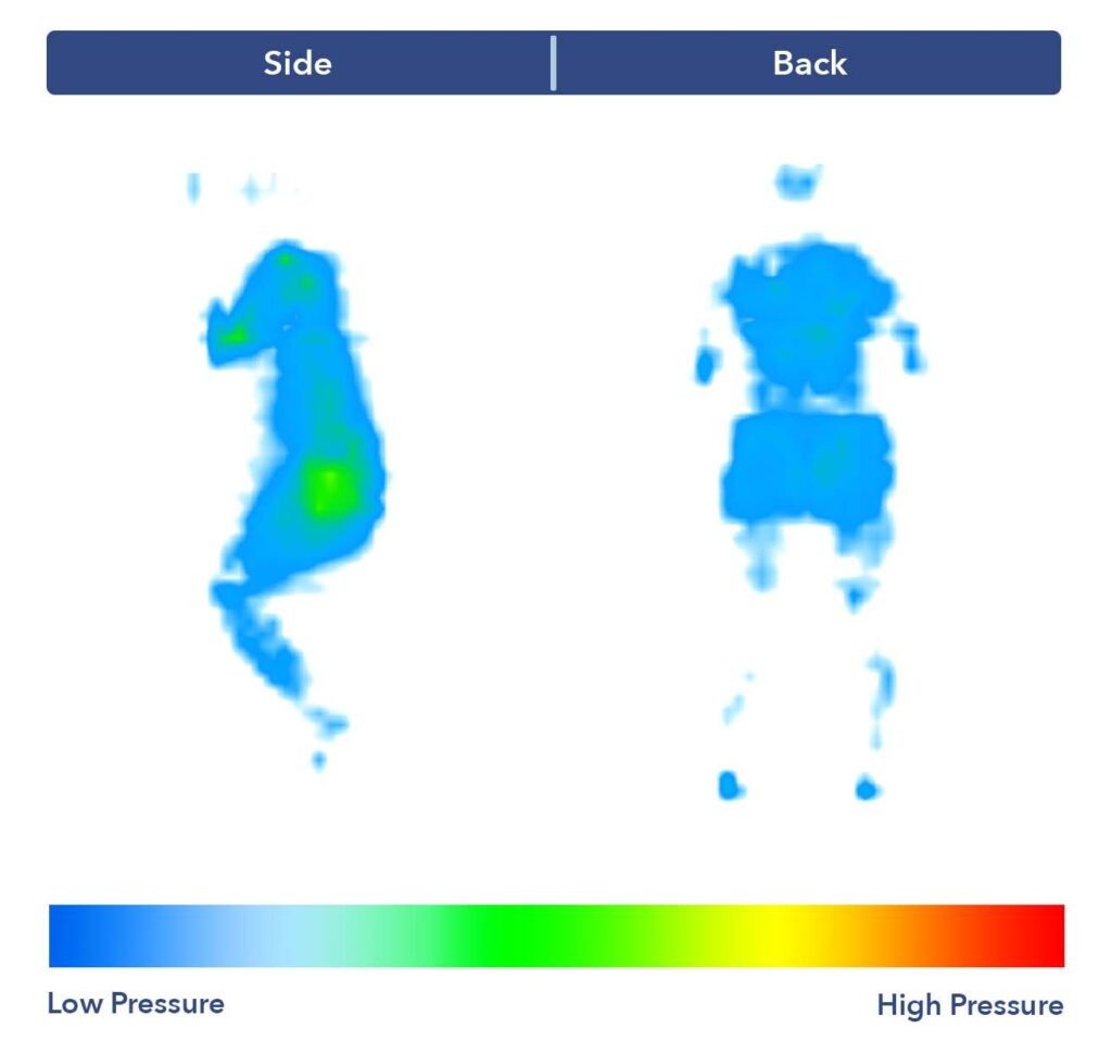 Pressure map results for the Bear Star Hybrid mattress