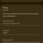 Dynamic IP Address