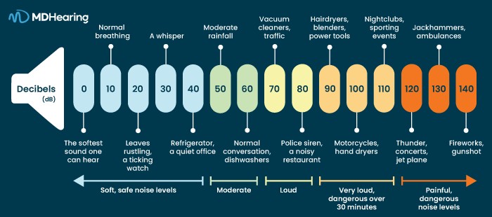 Decibel Chart Illustrating Common Sound Intensities