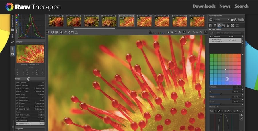 Raw Therapy, a fast, free photo editor with advanced tools to edit your original file - image editing with asset management. Top photo editor and fee.
