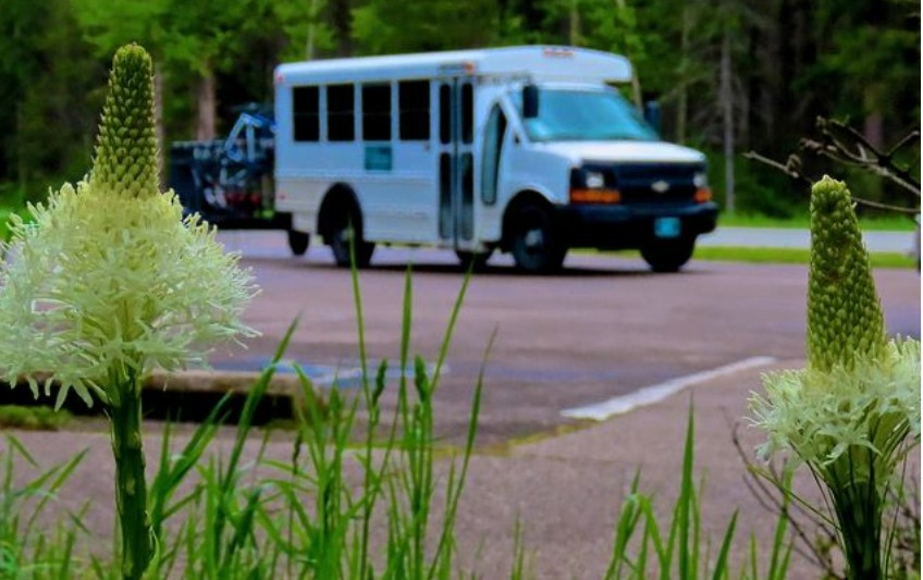 Great photo of the Glacier Guides and Montana Raft bike shuttle in the background of some blooming beargrass. Photo by our friend Kjell Petersen