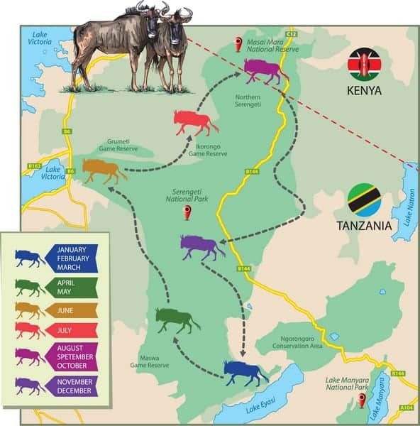 Serengeti Great Migration