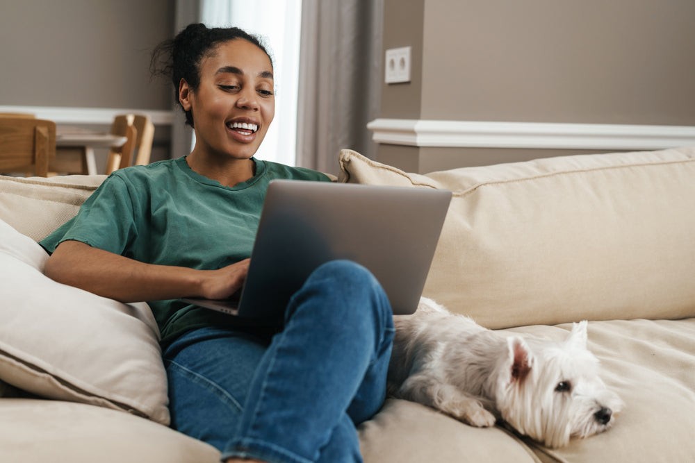 Dog receiving flea and tick treatment