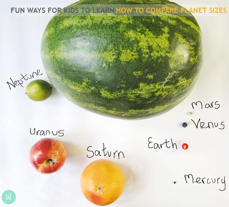 solar system fruit wild about here