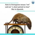 Spanish and Portuguese Similarities
