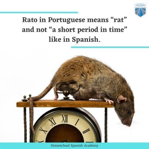 Spanish and Portuguese Similarities