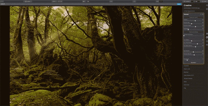 alternatives to lightroom - apps with effects filters and batch management features for raw images and image processing