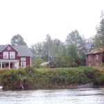 Sweden's vast forests support its timber industry