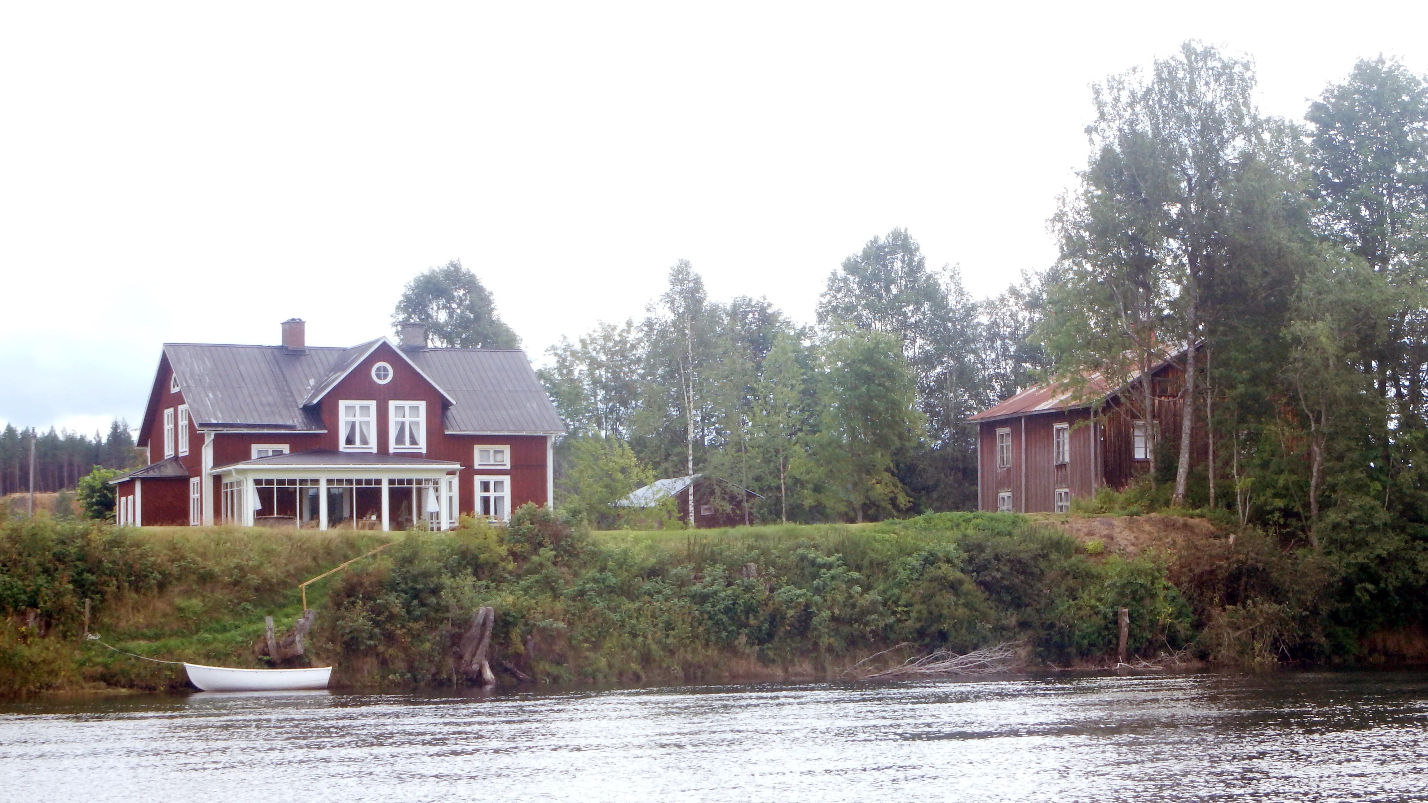 Sweden's vast forests support its timber industry