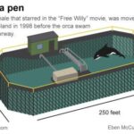 Keiko's bay pen