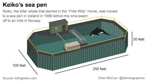 Keiko's bay pen