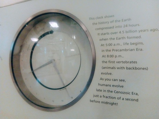 clock illustrating deep time