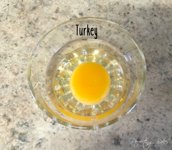 Turkey Egg in Bowl