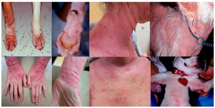 Close-up of skin with balanced pH, showcasing hydration and clarity
