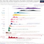 Carbon Footprint of Protein Rich Foods