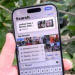 Natural language search on an iPhone 15 Pro running iOS 18.1