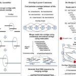 De Novo Likelihood Based Measures
