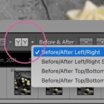 This is where you can change between the different types of side-by-side comparison in Lightroom.